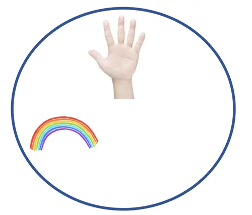 Five Senses Matching Activity